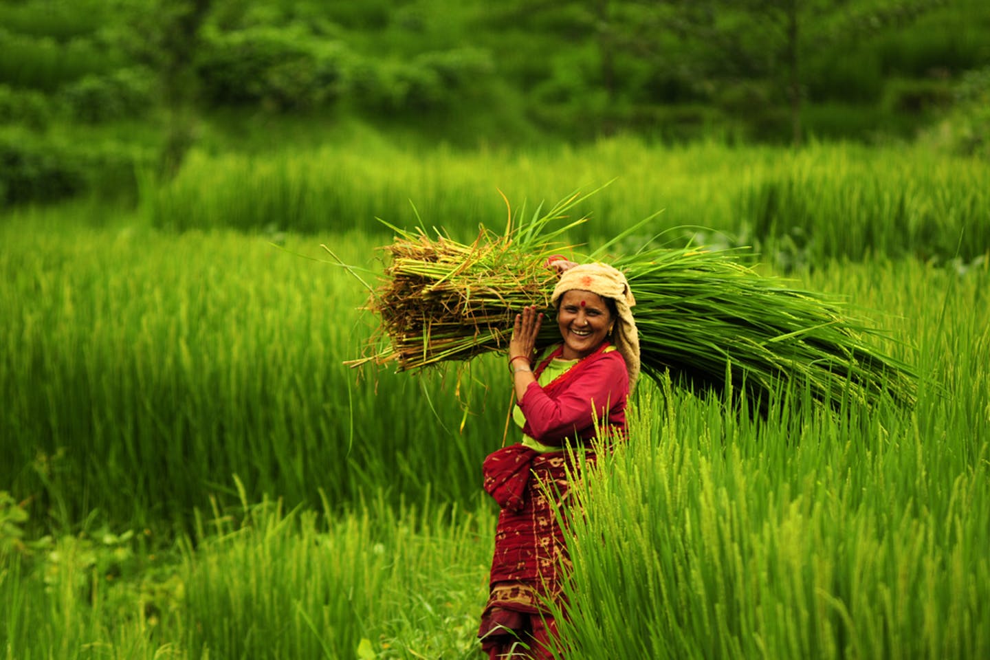 This Leader in Organic Agriculture Growth